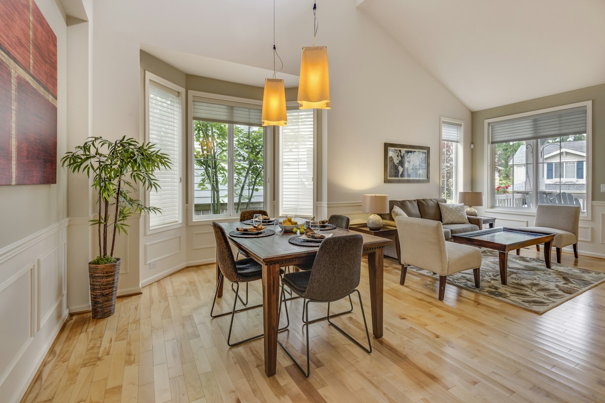 Bright dining and living space with indoor plants